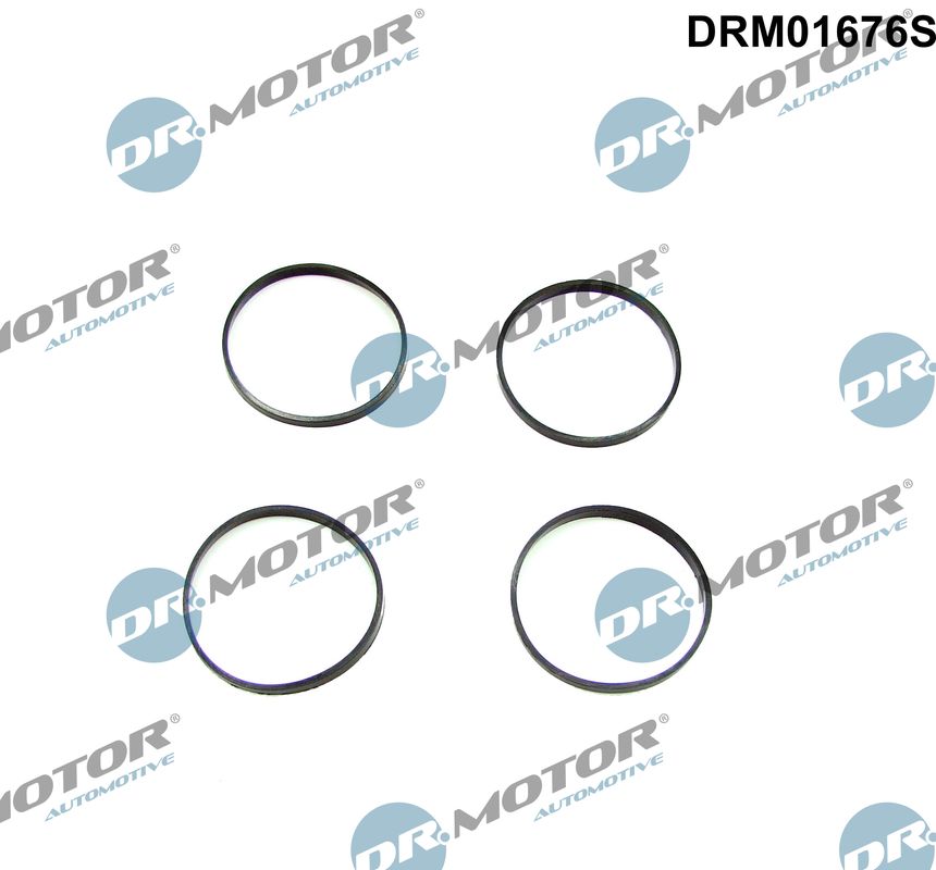 Комплект ущільнень, впускний колектор, Dr.Motor DRM01676S