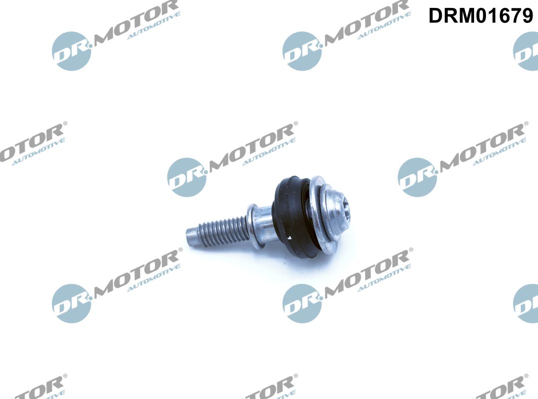 Гвинт, кришка голівки циліндра, Dr.Motor DRM01679