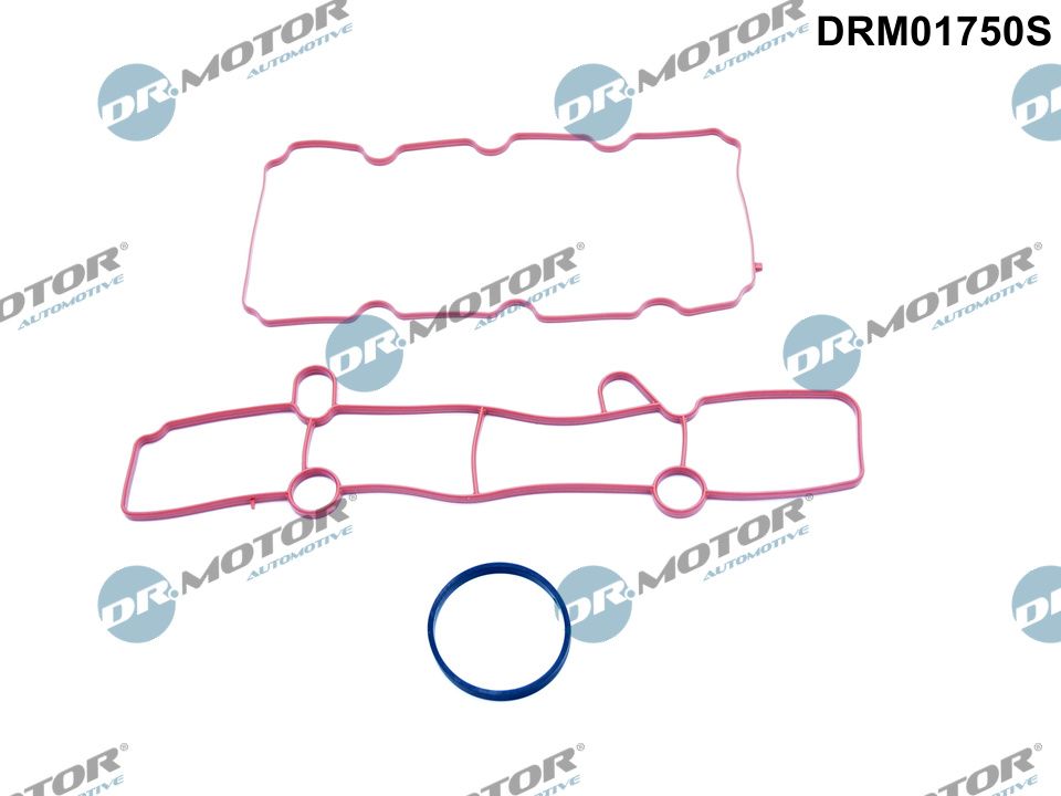 Комплект ущільнень, впускний колектор, Dr.Motor DRM01750S