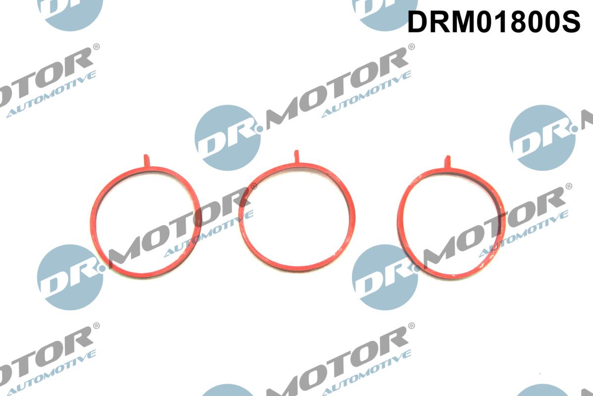 Комплект ущільнень, впускний колектор, Dr.Motor DRM01800S