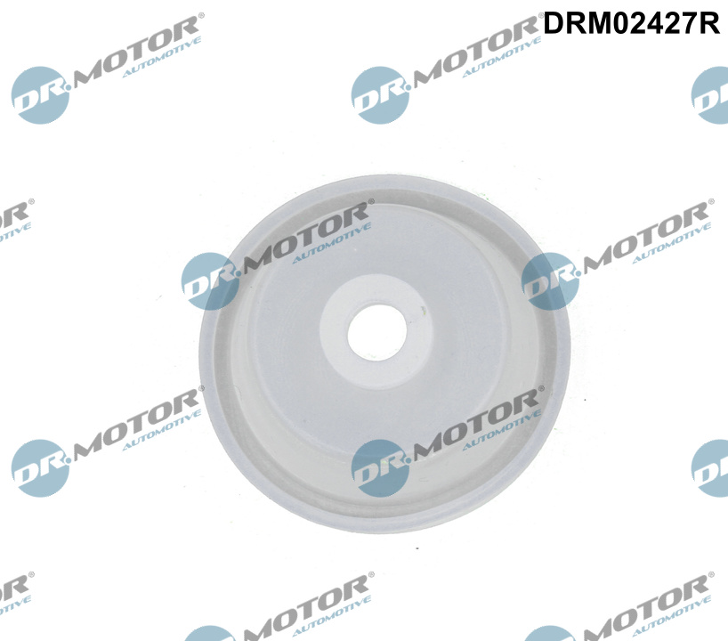 Клапан, пневматична система керування вхідним повітрям, Dr.Motor DRM02427R