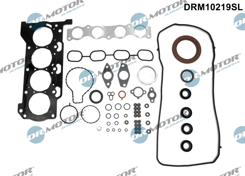 Повний комплект ущільнень, двигун, Dr.Motor DRM10219SL