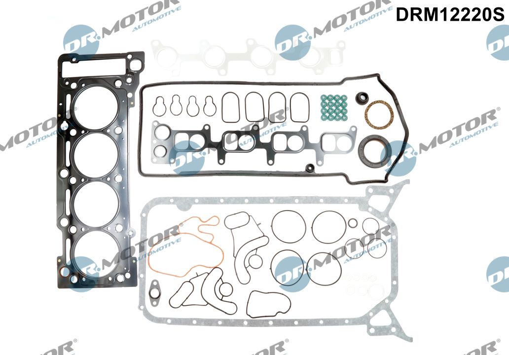 Повний комплект ущільнень, двигун, Dr.Motor DRM12220S