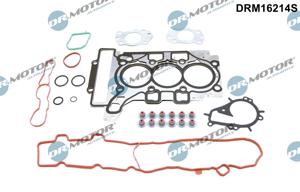 Повний комплект ущільнень, двигун, Dr.Motor DRM16214S