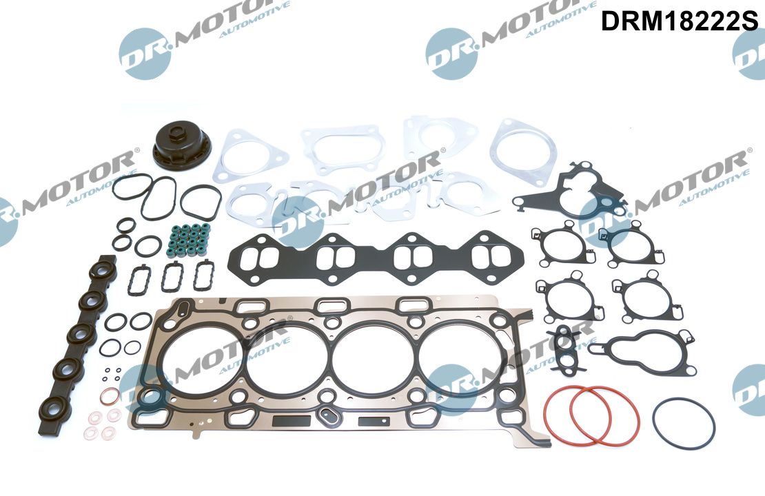 Повний комплект ущільнень, двигун, Dr.Motor DRM18222S