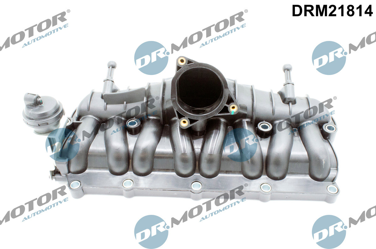 Модуль впускної труби, Dr.Motor DRM21814