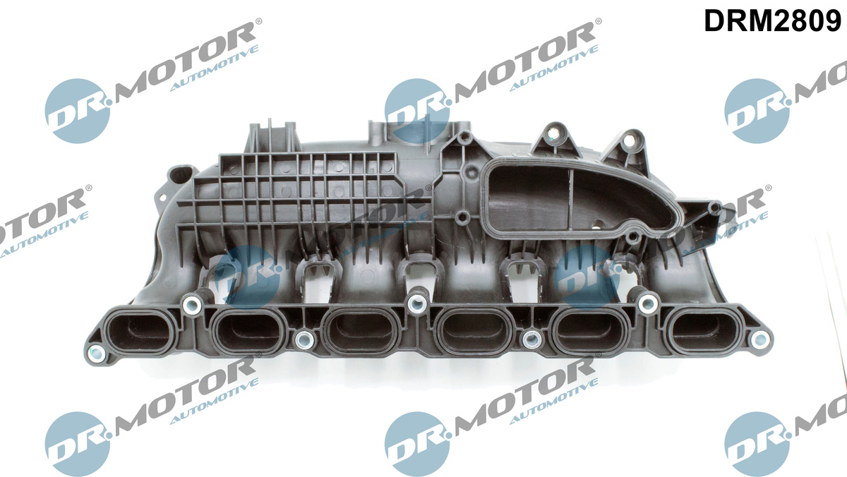 Модуль впускної труби, Dr.Motor DRM2809