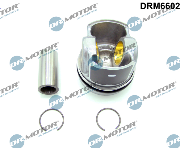 Секційний двигун, Dr.Motor DRM6602